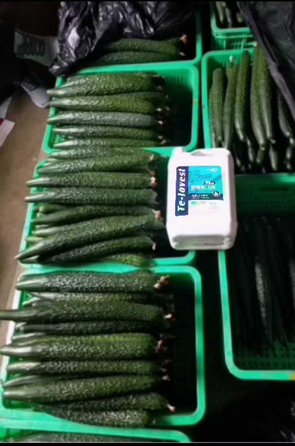 微信图片_20260116162705