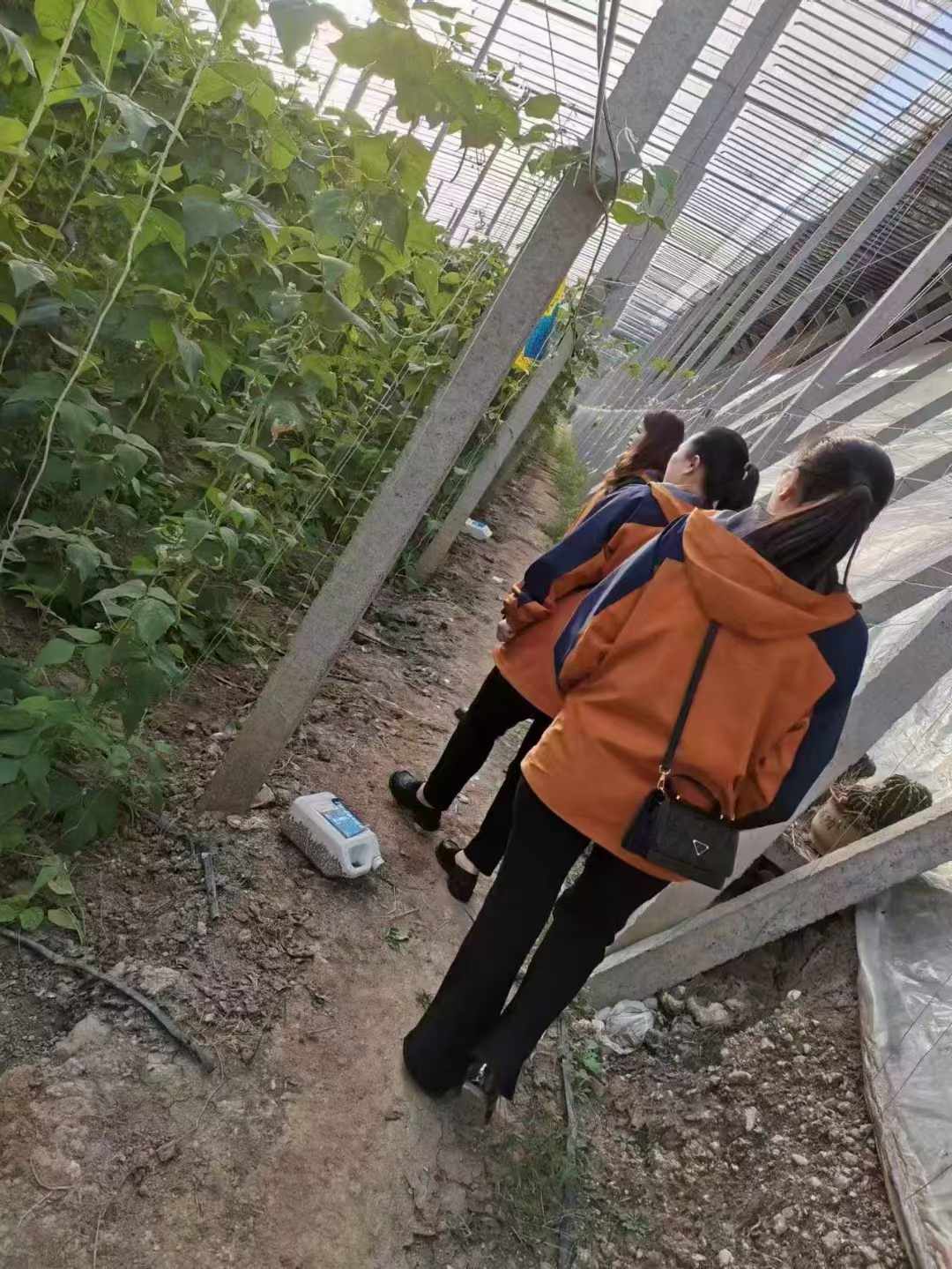 微信图片_20241108093232